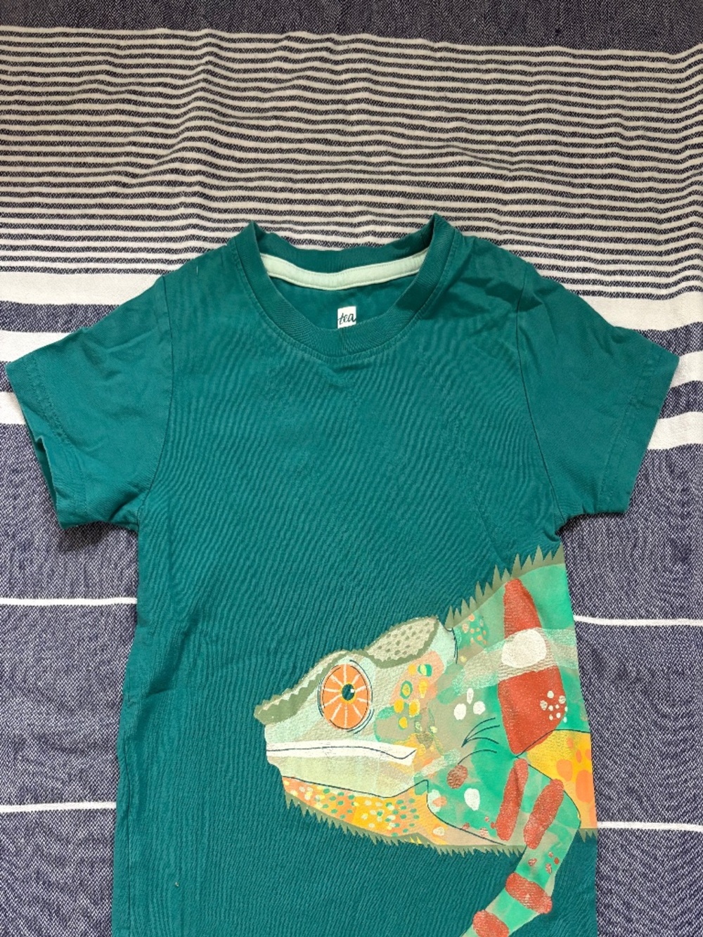 Tea Collection Chameleon graphic t